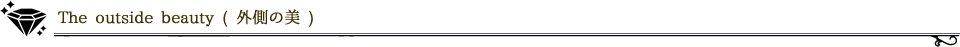 The outside beauty ( 外側の美 )